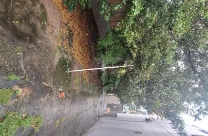 Imagem: Casa Térrea para Alugar, Vila Polopoli