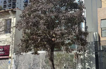 Imagem: Prédio Comercial para Venda, Perdizes