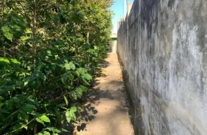 Imagem: Terreno para Venda, Vila Clarice