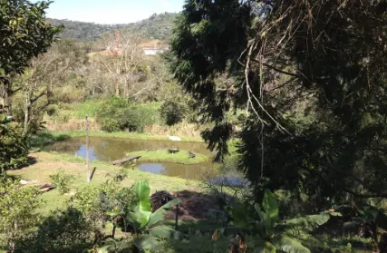 Imagem: Chácara / Sítio para Venda, Núcleo Residencial Isabela