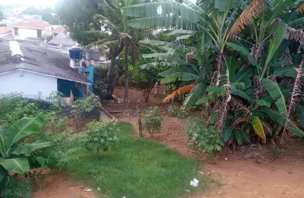 Imagem: Terreno para Venda, Pirituba