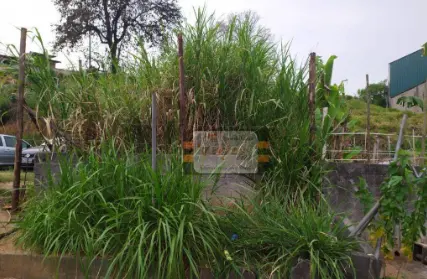 Imagem: Terreno para Venda, Jardim Cidade Pirituba
