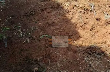 Imagem: Terreno para Venda, Vila Chica Luisa