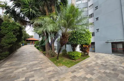 Imagem: Apartamento para Venda, Jardim Maristela
