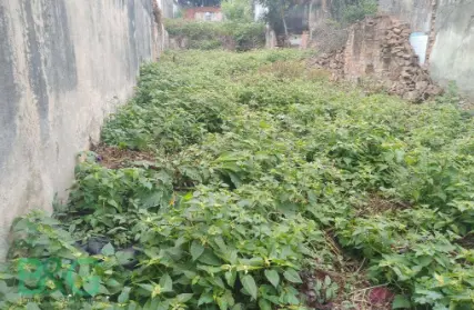 Imagem: Terreno para Venda, Vila da Saúde