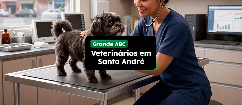 Imagem Veterinários em Santo André: 5 clínicas para levar seu pet