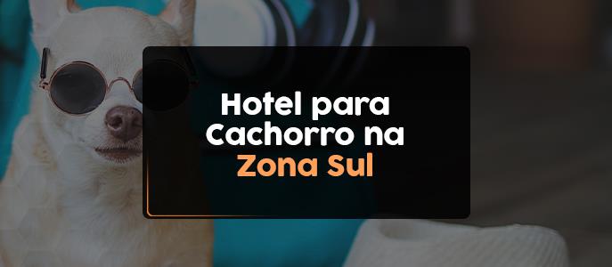 Imagem Hotéis e Creches para Cachorros na Zona Sul de São Paulo