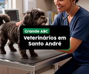 Veterinários em Santo André: 5 clínicas para levar seu pet
