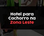 Imagem Hotéis e Creches para Cachorros na Zona Leste de São Paulo