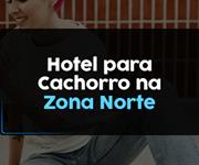 Imagem Hotéis e Creches para Cachorros na Zona Norte de São Paulo