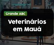 Imagem Veterinários em Mauá: 5 clínicas para levar seu pet