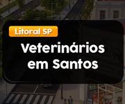 Imagem Veterinários em Santos: onde encontrar? 