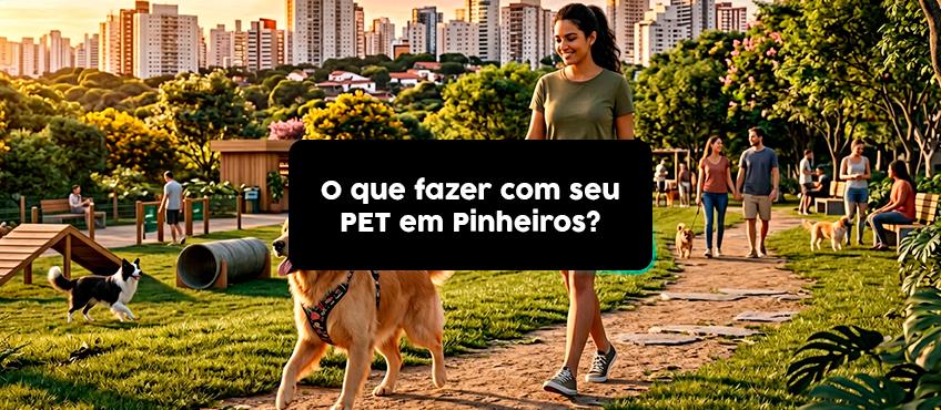 Imagem O que fazer com o seu Pet em Pinheiros? Veja os melhores lugares