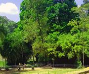 Imagem Guia completo de Lazer na Zona Norte